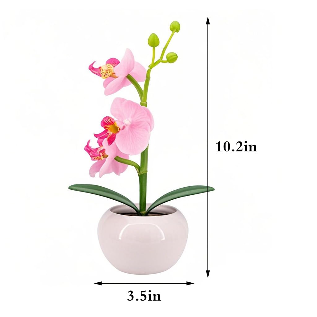 Naimo Phalaenopsis Night Light Rechargeable LED Night Lamp Flower Table Lamp for Bedroom Living Room Birthday Party Desktop Home Decor
