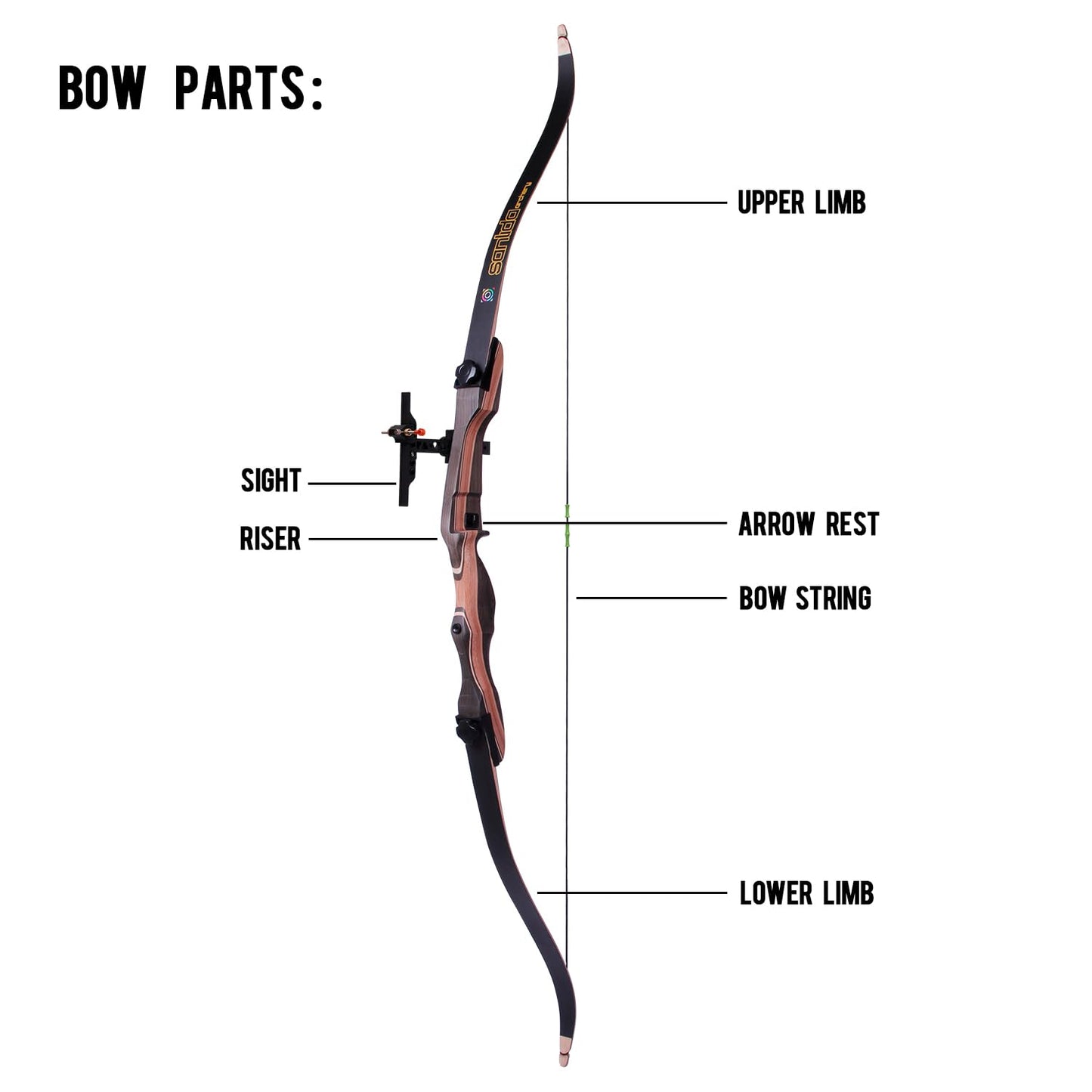 Sanlida Noble Standard Beginner & Intermediate Recurve Bow and Arrows Kit for Adult and Youth, Wooden Takedown Recurve Bow Package for Training, Practice & Competition RH Only (54", 10lbs)