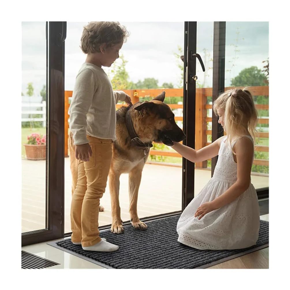 SRDDQLC Commercial Grade Door Floor Mat Brush Step Entrance Mat 3' ×5' Outdoor Indoor Mat Waterproof Rubber Back Rugs for Home Office Business Areas Dark Grey