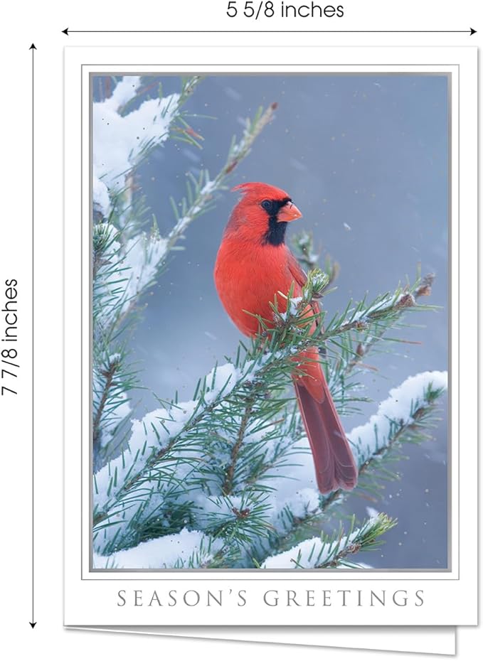 Masterpiece Let Nature Sing Cardinal Christmas Cards / 16 Boxed Holiday Seasons Greetings Card Set With Silver Foil Accents And Coordinating Envelopes / 5 5/8" x 7 7/8" Folded Winter Greeting Cards