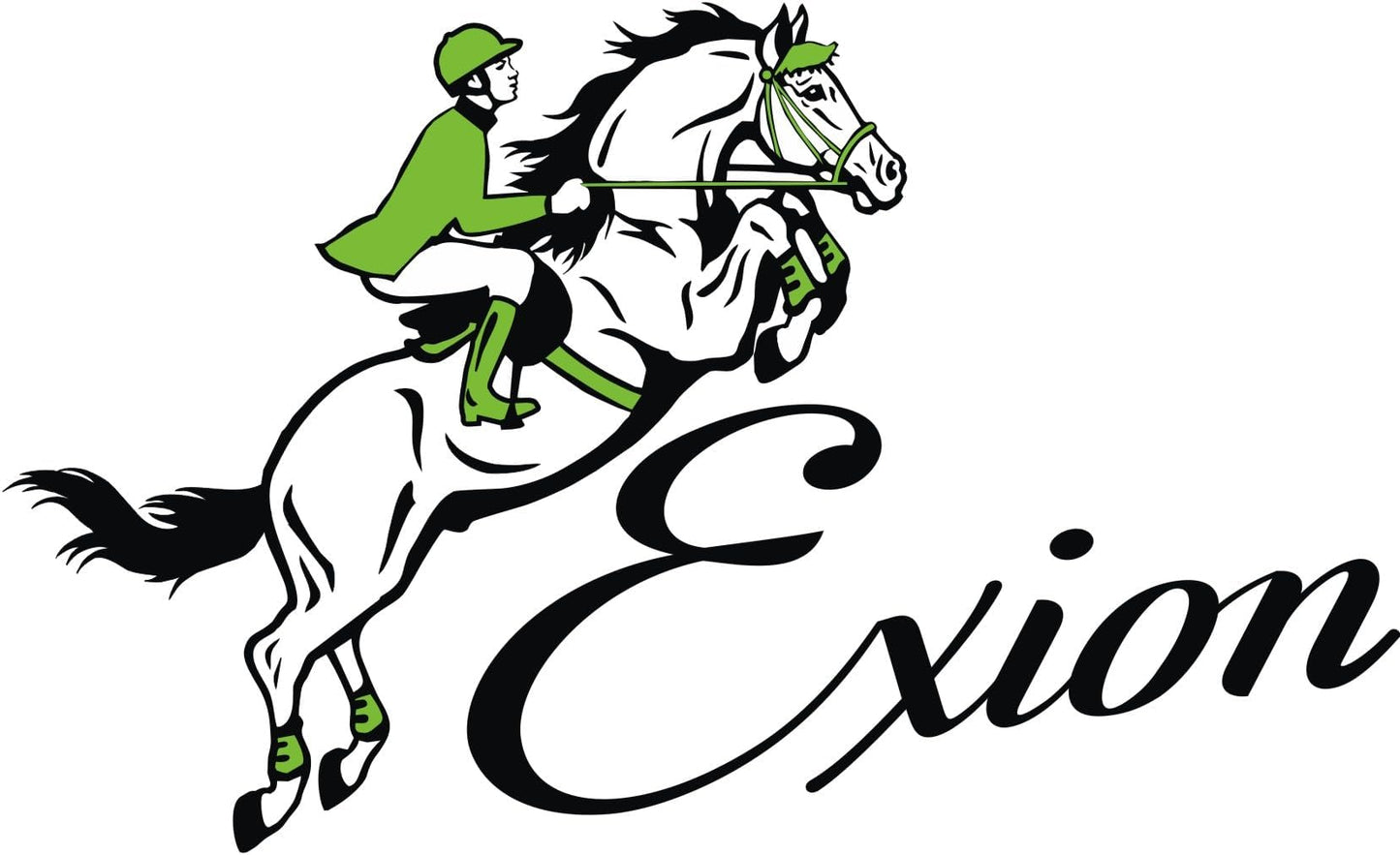Exion White Shine Blings & Browband & Snaffle Bling Noseband & White Soft Lined Padded Bridle & Rubber Reins. | Browbands with Bling | Bling Browbands | English Tack for Horses