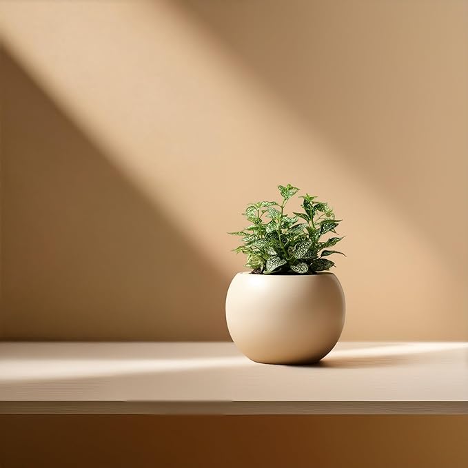 Self Watering Plant Pot | 7 Inch Ceramic Indoor Planter Pot with 4.25 Inch Opening | Ivory Pot for Indoor Plants | Round Self Watering Planter | Neutral Home Decor