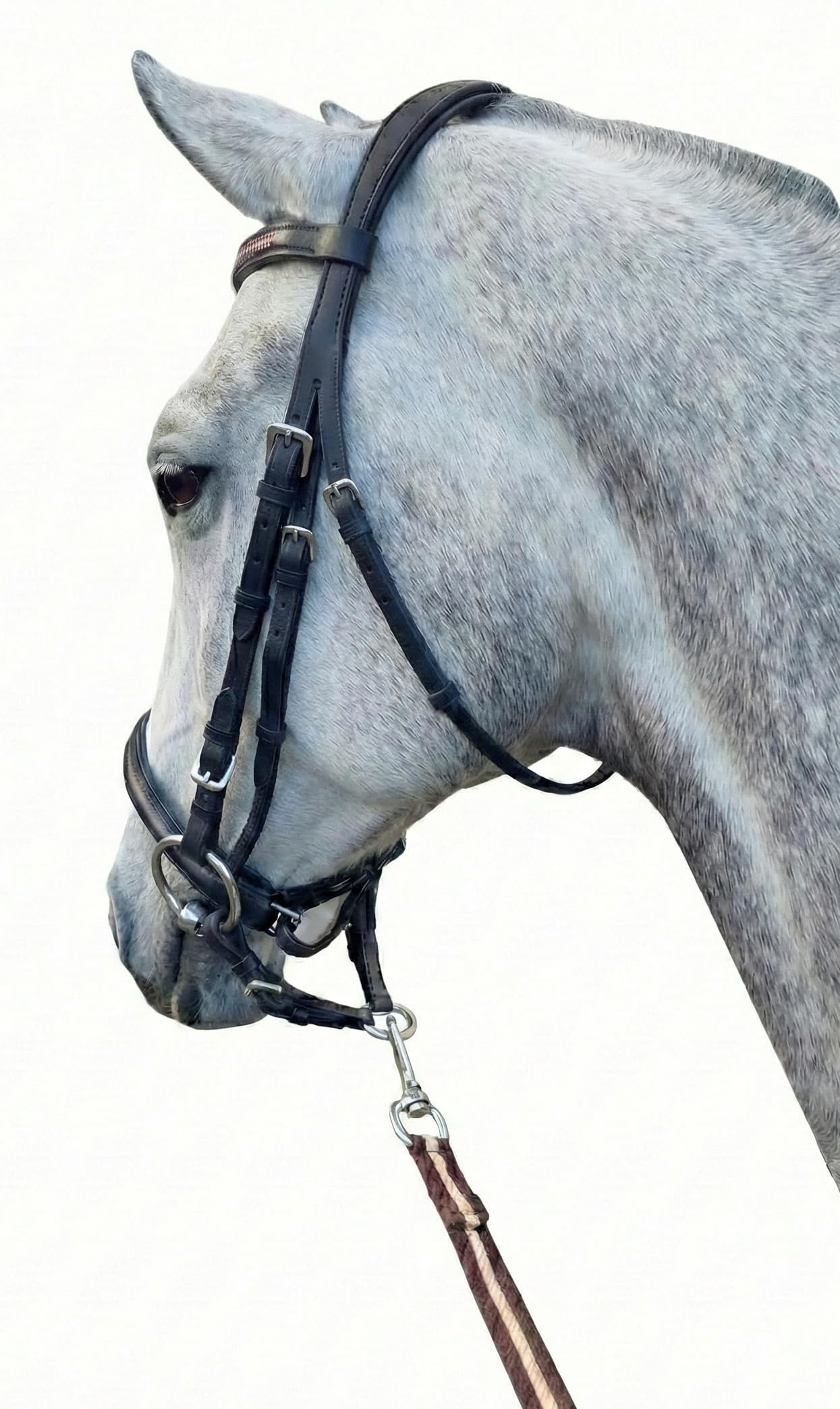 Hunters Saddlery Leather Strap Lunge Line Connector – Bit Coupler for Lunging or in‑Hand Leading & Showing Horses (Black)