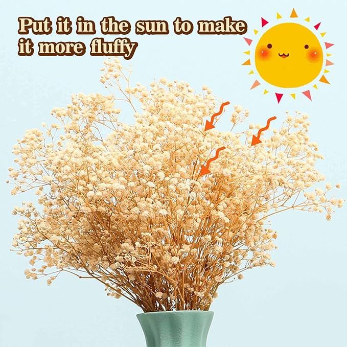 Babys Breath Dried Flowers Bouquet-17'' 3000+ Dry Flowers, Natural Gypsophila Branches for Wedding, Home Table Vase Decor, DIY Wreath Floral, Fall Thanksgiving Autumn Decoration (Ivory White, 3oz)