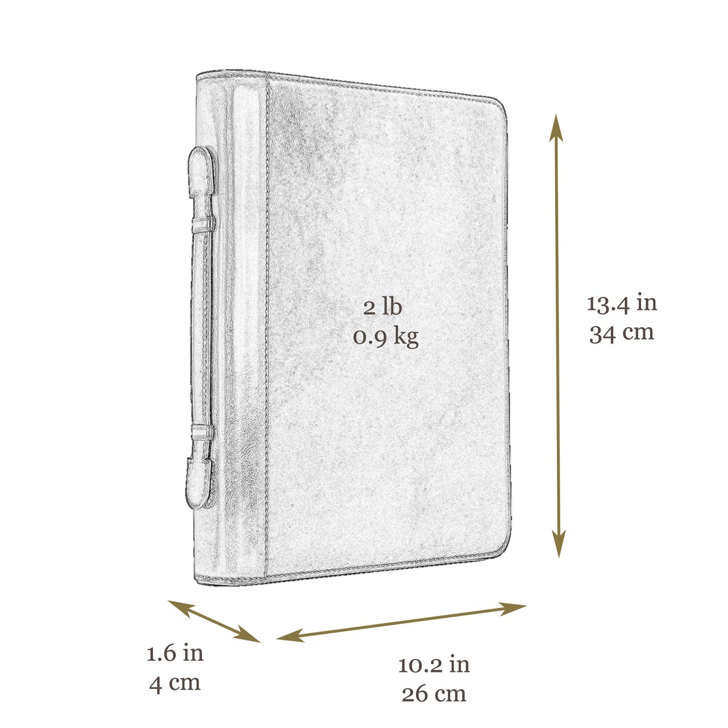 Time Resistance Leather Portfolio – Document Bag with Carry Handle – Tablet Size Case Made in Italy (Green)