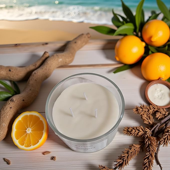 Premium 3-Wick Scented Candle 420g, Jar Aromatherapy Candle Birthday Gifts for Men and Women, Long Lasting 50H, Soy Wax Natural Essential Oil Blend for Home Office Spa (Seaside+Citrus)