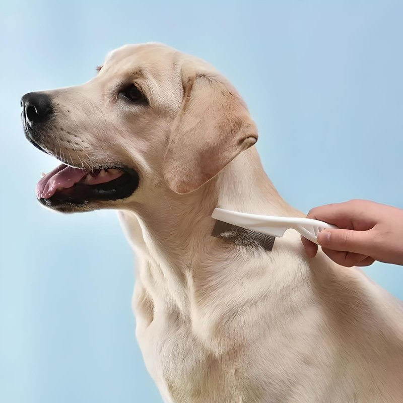 Artecare 4 in 1 Skin Friendly Grooming kit including Dematting Rakes,Self Cleaning Slicker Brush,Deshedding Brush,Flea Comb for Haired cat Dog and Small Animals.