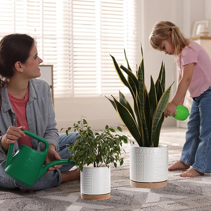 Indoor-Outdoor Ceramic Plant Pots: 8 Inch Flower Pots with Drainage Hole & Saucer - Decorative Ceramic Pots for Plants Herbs Succulents - Home Garden Patio Lawn Use (White)