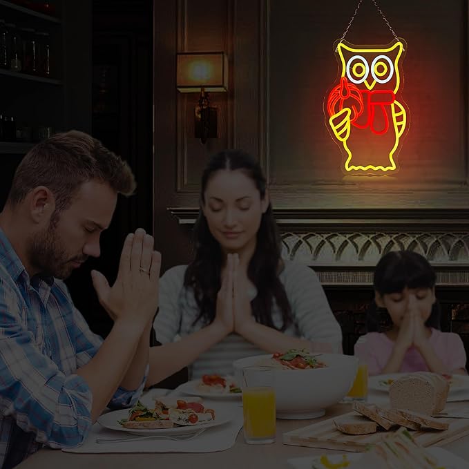 Hanna Roberts Owl Pumpkin Halloween Neon Sign for Window decor and Wall Decor, Brightness adjustable Pumpkin Led Light Up Signs for Children's Room, Bedroom, Bar,15"x8.66"