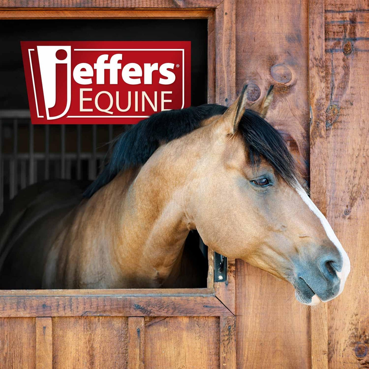 Jeffers LuxeLeather Heavy Oiled Leather Browband Headstall with Water Tie Bit Ends for Horses - Adjustable Western Horse Bridle Headstall, Harness Leather Tack for Riding Training Trail - Full Size