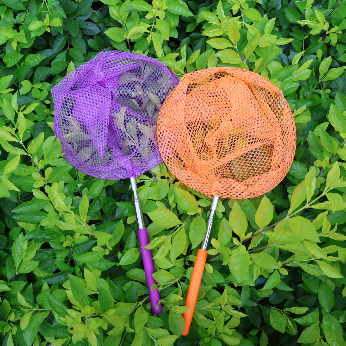 2 Pack Insect Catching Nets, Telescopic Stainless Steel Pole, Fishing Nets,Butterfly Nets, Nature Exploration Toys for Kids Outdoor Playing