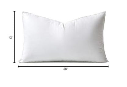 MIULEE 24x24 Down Alternative Pillow Insert Euro Decorative Throw Pillow 24 x 24 Inch Body Bed Sleeping Ultra Soft Fluffy Form for Sofa Couch Bed