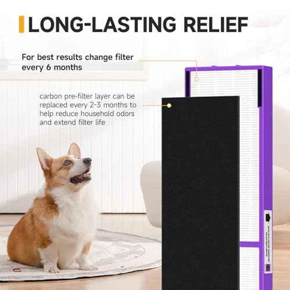 FLT5250PT True HEPA Replacement Filter C Pet, Compatible with Germ-Guardian AC5250PT, AC5000E, AC5300B, AC5350W, AC5350B, CDAP5500 Air Purifiers, 4 HEPA Filter and 8 Pre-Filters