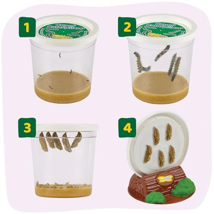 Insect Lore Giant Butterfly Garden with Voucher | 18 Inch Habitat | Life Cycle Figurines Included | Voucher to Redeem 5 Baby Caterpillars Later | Raise Painted Lady Butterflies