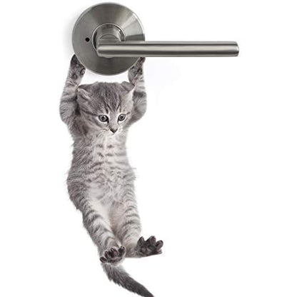 Cute Hanging Baby Kitten cat Door Decal Sticker #6067A