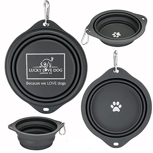 Lucky Love Dog Travel Dog Bowl, Collapsible Compact Water Dog Dish, Rose
