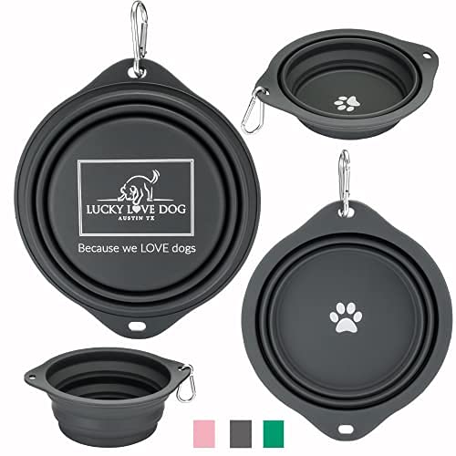 Lucky Love Dog Travel Dog Bowl, Collapsible Compact Water Dog Dish, Rose