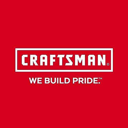 CRAFTSMAN Air Tool Oil, Pneumatic Tool Oil, 4 Oz (CMPCPO100)