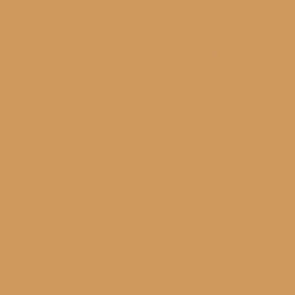 Rust-Oleum 249103 Painter's Touch 2X Ultra Cover Spray Paint, 12 oz, Gloss Khaki (Pack of 2)