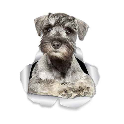 Winston & Bear 3D Curious Schnauzer Wall Decals - Miniature Schnauzer Dog Sticker for Fridge, Door, Car Window and Bumper - Retail Packaged Dog Lover Gift - 2 Pack