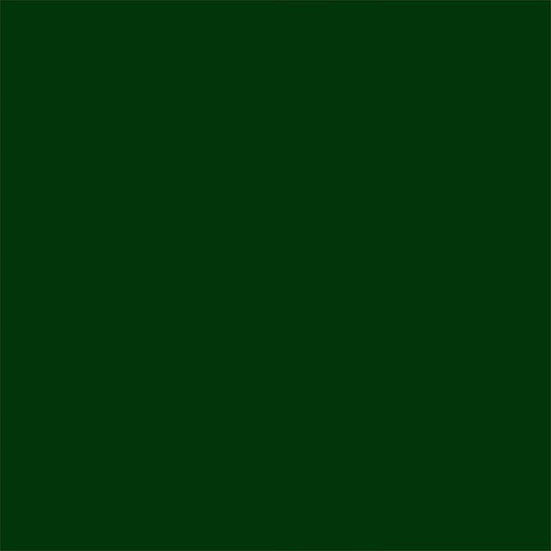 Rust-Oleum 249853 Painter's Touch 2X Ultra Cover Spray Paint, 12 oz, Semi-Gloss Hunter Green (Pack of 2)