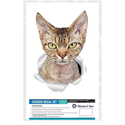 Winston & Bear Grumpy Rex Cat Wall Decals - 2 Pack - Grumpy Rex Cat Toilet Sticker ? 3D Cat Car Window and Bumper Sticker - Retail Packaged Cat Lover Gifts
