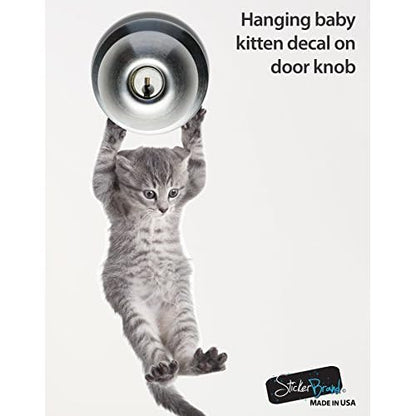 Cute Hanging Baby Kitten cat Door Decal Sticker #6067A