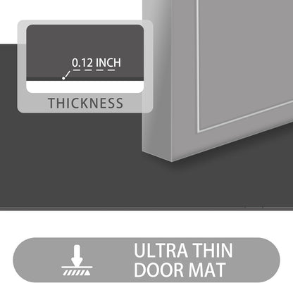 LYGLIGH Ultra Thin Door Mat Indoor Entrance, 1/10 in Thin Door Mats for Inside Entry, Non-Slip Rubber Backing Washable Doormat, Fade Resistant, Absorbent, Low Profile Dirt Trapper, 24"X16"
