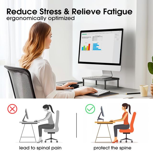 WiseBegan Monitor Stand for Desk - Ergonomic Monitor Riser, Laptop Stand with Non-Slip Pads, Sturdy & Stable Computer Stand with Cooling Holes, Desk Organizer for Laptop, Printer, 14.1''×9.4''×3.9''
