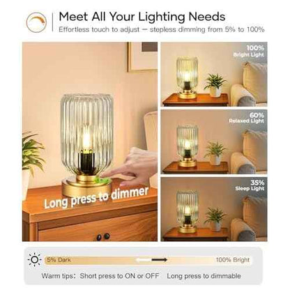 Touch Table Lamp for Nightstand - Small Bedside Lamps for Night Stands Bedroom Living Room, Dimmable Rechargeable Desk Lamp Battery Operated with Clear Glass Shade, Bulb Included