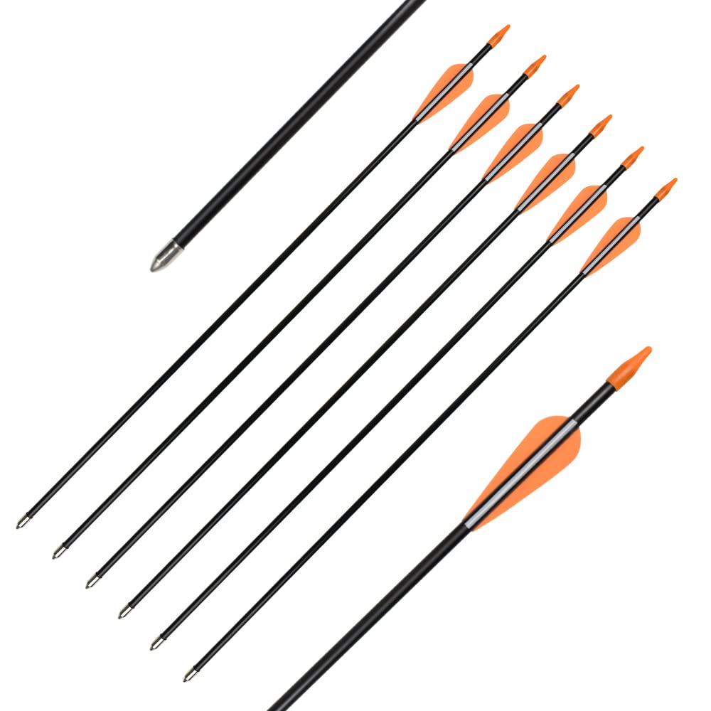 Elong Fiberglass Arrows Archery 24 Inch Target Shooting Practice Safetyglass Recurve Bows Suitable for Youth Children Woman Beginner (6 pcs)