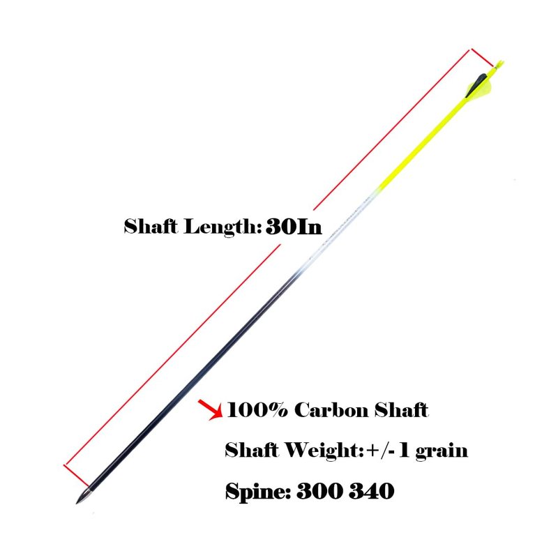 QunYing Archery Carbon Arrow 30 inch 300 340 350 Spine Hunting Arrows for Compound Recurve Bow 12PCS Spine 300