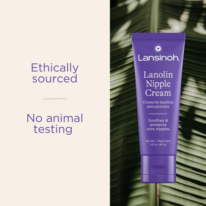 Lansinoh Lanolin Nipple Cream Safe for Breastfeeding Baby, 100% Natural Nipple Butter, Breastfeeding Essentials for Postpartum Moms, 1.41 Ounces