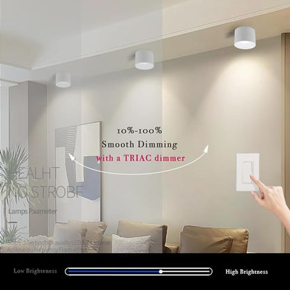 LED Dimmable Ceiling Spotlight Aluminum White 4.72" Cylinder Spot Light Indoor Modern Minimalist Focus Accent Down Light for Cylinder Hallway Kitchen Foyer CRI 98 12W 3000K
