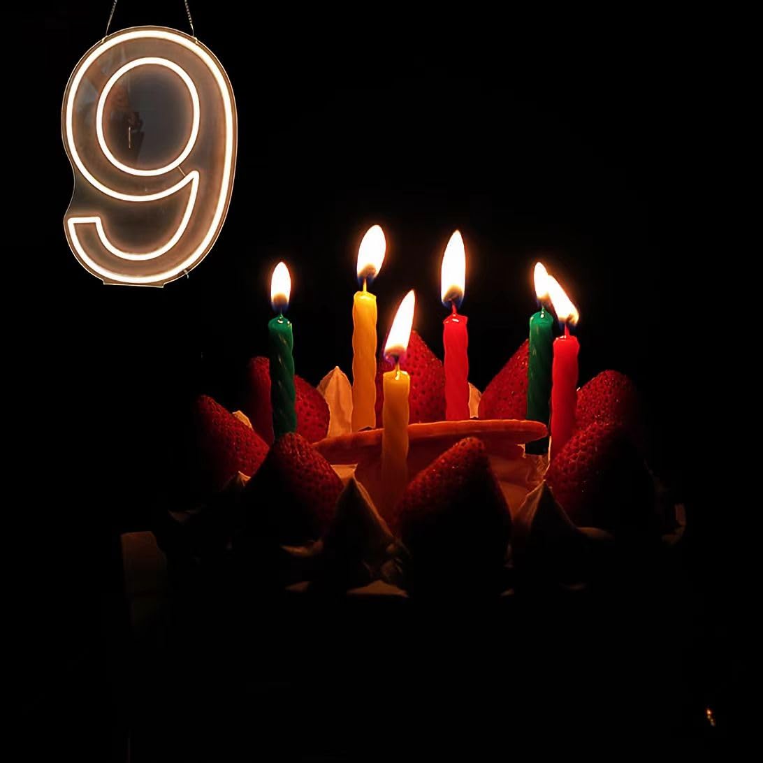 Neon Signs Number 9 Birthdays Decor Neon Lights Party USB Plus Battery Case Light up your baby's birthday with our Neon Number Nine Sign (Number 9-Warm White)