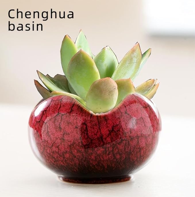 YYW Succulent Pots with Drainage Ceramic Plant Pot Indoor Small Flower Cactus Pots with Tree Tier Bamboo Stand Shallow Planter for Garden Windows Home Office Decor Plant Lovers Gifts
