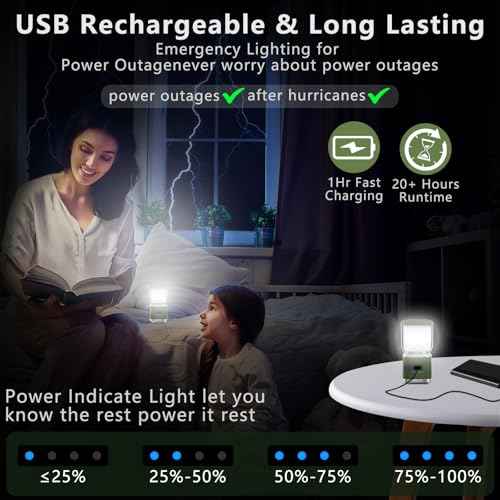 LED Camping Lantern Rechargeable, 2000LM Small Camping Lights Lantern with Redlight&20Hours Runtime&Stepless Dimming, Hurricane Emergency Lights for Power Outages, Waterproof, Camping Essentials,4pcs