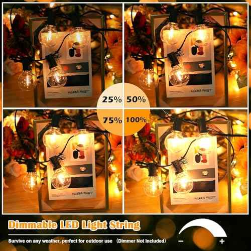 Brightever 120ft Outdoor G40 LED Globe String Lights Dimmable Waterproof Shatterproof Light Strings with 60+2 Bulbs Connectable Commercial Hanging Lights for Patio House Backyard Balcony
