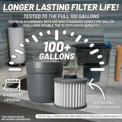 Epic Nano XP Water Filter ? Made in USA ? Removes 70+ Contaminants Including PFAS, Lead, Bacteria, Viruses and Microplastics ? 100 Gallon Capacity ? Replaceable Inner Cartridge ? Recyclable