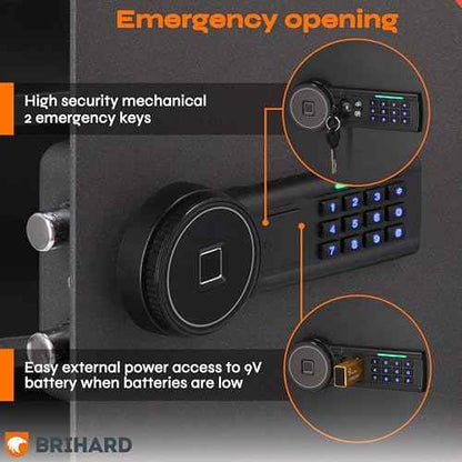 Family Biometric Safe 9.84"H x13.78"W x 9.84"D with Fireproof Bag, Fingerprint Safe Box 0.71Cubic Feet with Removable Shelf, Digital Safe for Home, Secure storage for Money, Documents A4