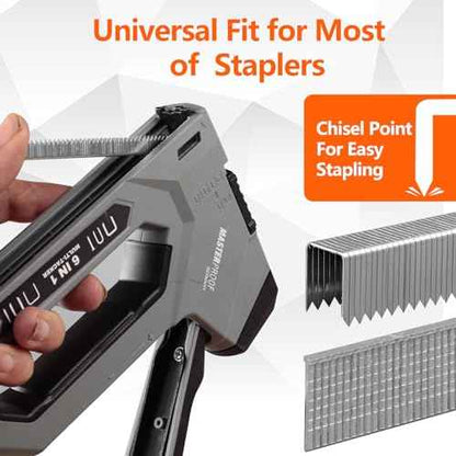 Heavy Duty T50 Staples 1450-Count 5 Sizes Includes: 5/16",3/8",1/2",9/16" Staples+5/8" Brad Nails, 20 Gauge Galvanized Assorted Size Project Pack