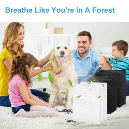3+12 D360 Filter Replacement D3 Compatible with Winix D360 Air Purifier,Part # 1712-0101-02 Model£¬D360 HEPA Filter Replacement 3 True HEPA Filters + 12 Activated Carbon Pre-Filter. (3+12Set)