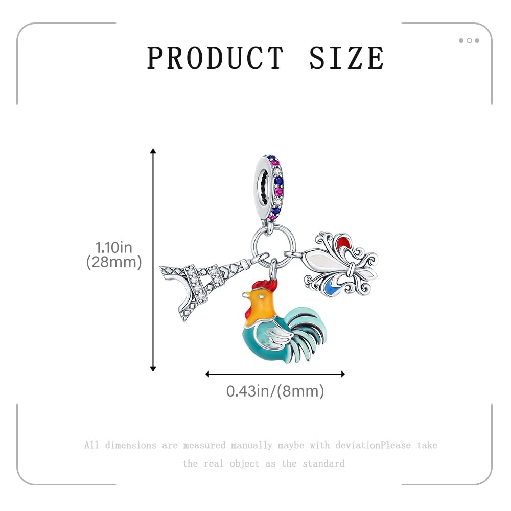 BOIGEGU 925 Silver Charms for Pandora Bracelets Le Coq gaulois/La Tour Eiffel Charm Necklace Charms Souvenirs Charm Jewellery Gifts for Women DIY Collectors