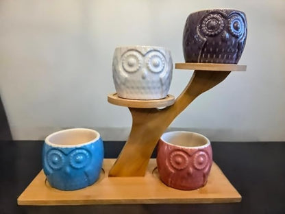 Blisse Wood Owl Planter (Blue)