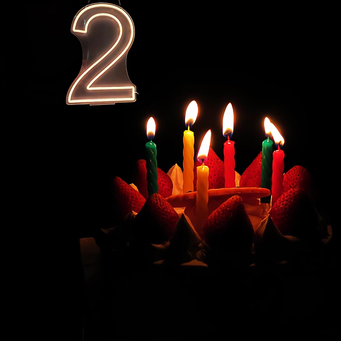 Lovewenying Neon Signs Number 2 Birthdays Decor Neon Lights Party USB Plus Battery Case Light up Your Baby's Birthday with Our Neon Number Two Sign (Number 2-Warm White)