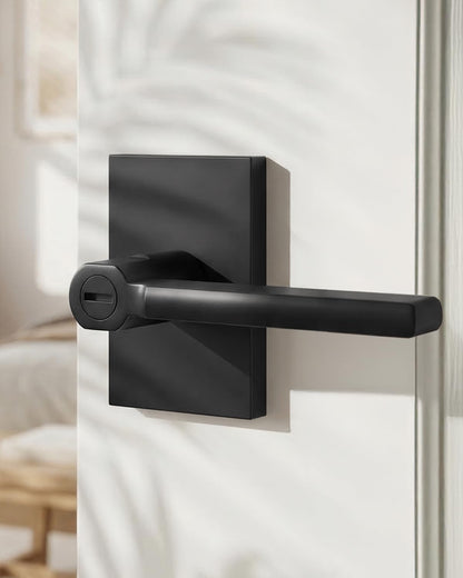 Goldenwarm Black Door Handles Interior,Matte Black Privacy Door Handle for Bedroom Bathroom, Keyless Door Lever Adjustable & Reversible,4 Pack