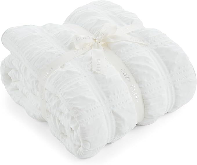 Cozy Bliss Cooling Comforter Full Size Seersucker Plaid, Q-Max 0.4 Reversible Lightweight Cooling Blanket, Breathable Silk Smooth Summer Bedding Quilt for Hot Sleepers Night Sweats White
