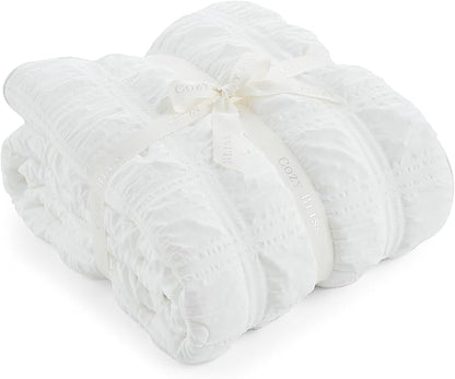 Cozy Bliss Cooling Comforter Full Size Seersucker Plaid, Q-Max 0.4 Reversible Lightweight Cooling Blanket, Breathable Silk Smooth Summer Bedding Quilt for Hot Sleepers Night Sweats White