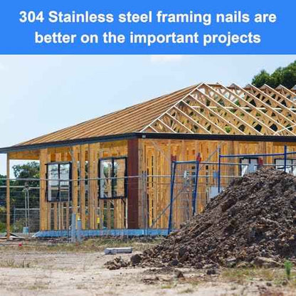 Framing Nails 304 Stainless Steel 21¡Æ Full Round Head Nail 21 Degree Ring Shank Nail for Pneumatic, Electric 21 degree Framing Nailer (2 inch (250 pcs))