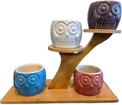 Blisse Wood Owl Planter (White)